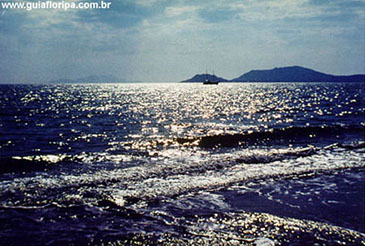 CanasVieiras - Foto 19