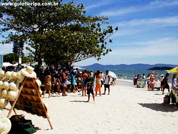 CanasVieiras - Foto 25