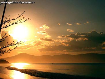 CanasVieiras - Foto 27