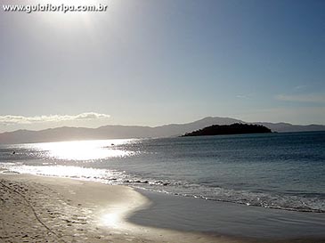 CanasVieiras - Foto 28